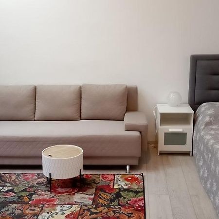 Piata Muzeului 1 Apartment คลูจ-นาโปกา ภายนอก รูปภาพ