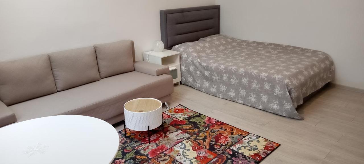 Piata Muzeului 1 Apartment คลูจ-นาโปกา ภายนอก รูปภาพ