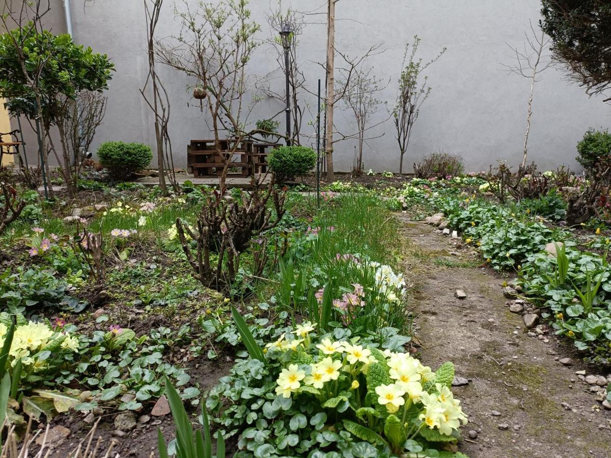 Piata Muzeului 1 Apartment คลูจ-นาโปกา ภายนอก รูปภาพ